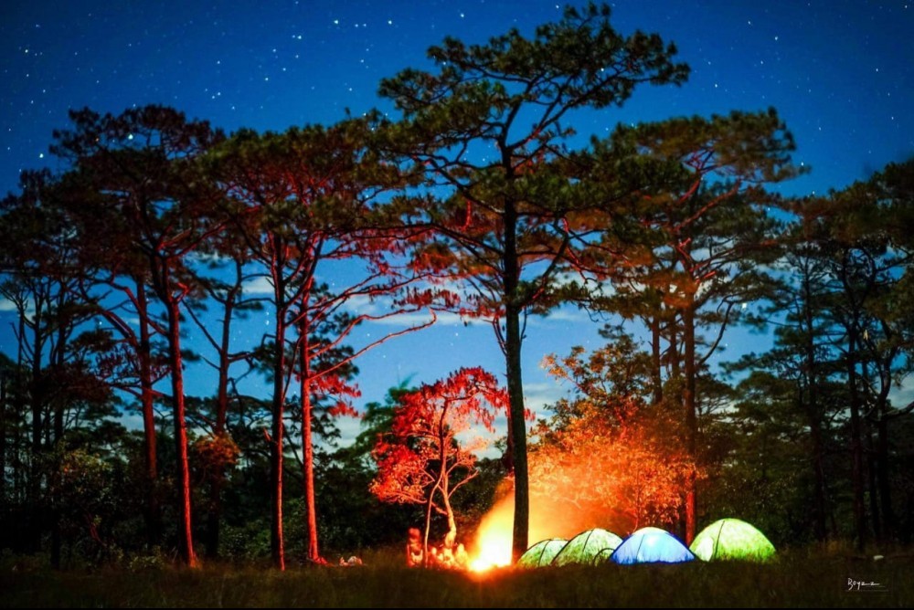 Photo 3: Night life Camping