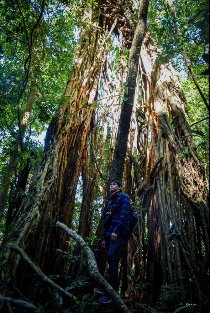 Photo 4: a man in Jungle