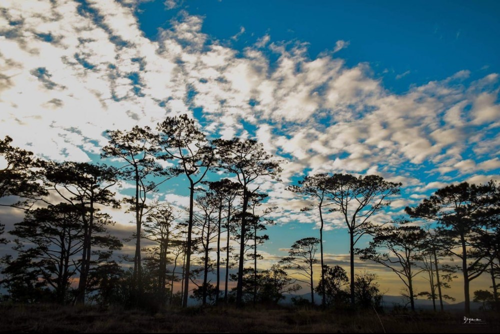 Photo1: Sunset view at Dan Gnai