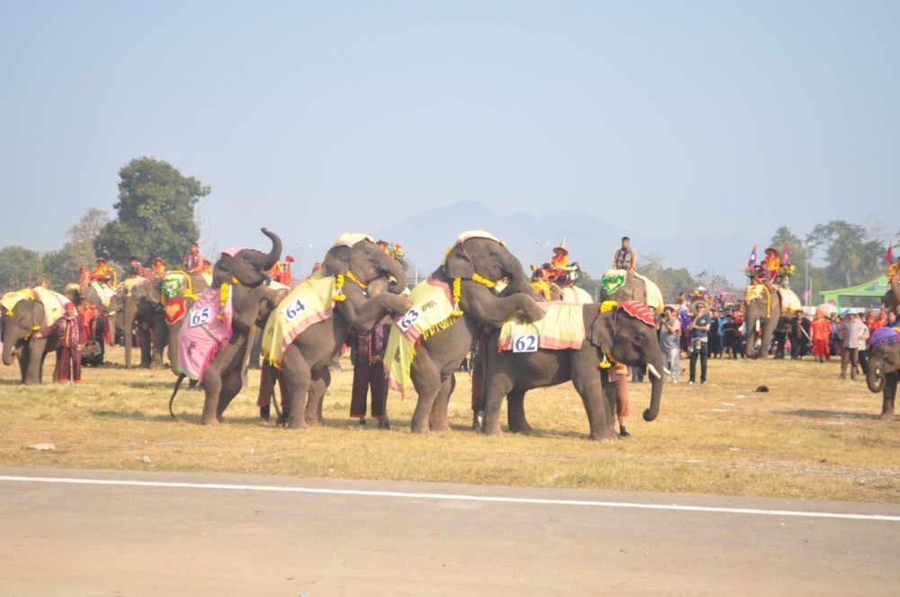 Elephant Festival in Sayaboury Province