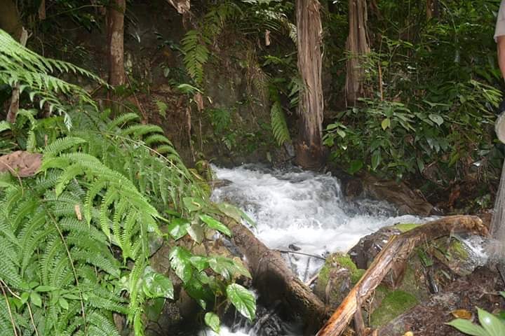 Huay Sat Waterfall far from Ngar around 40 Km.