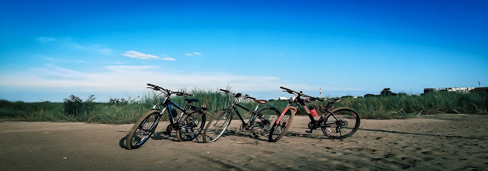 Three Bicycles - 1600px 560px